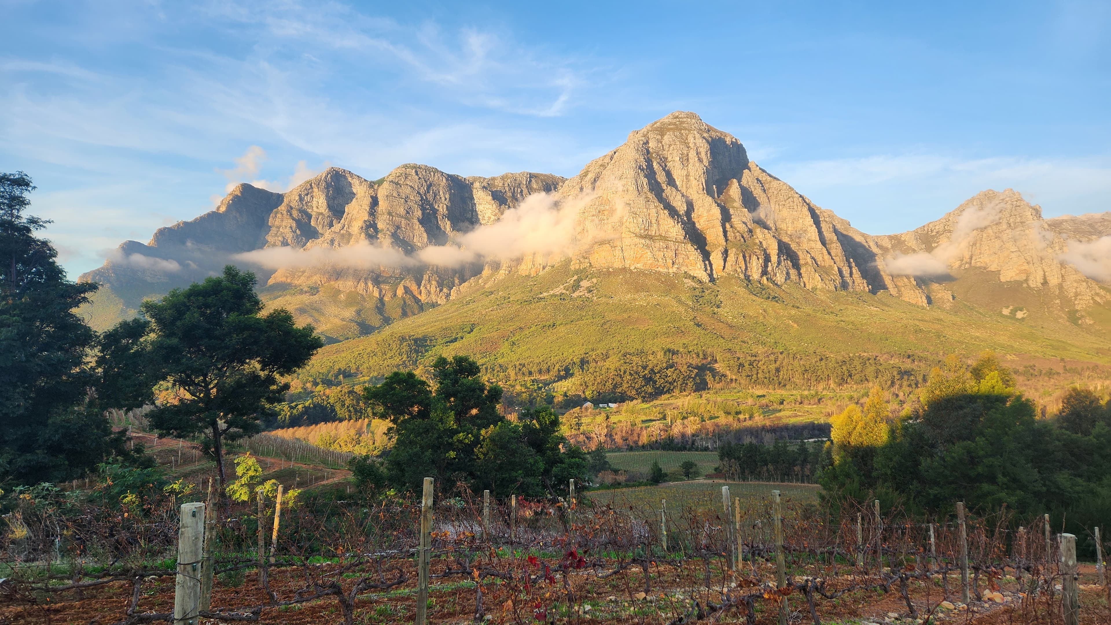 Stellenbosch & Franschhoek Private Wine Tour — photo 3