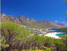 Cape Town City Tour — photo 3