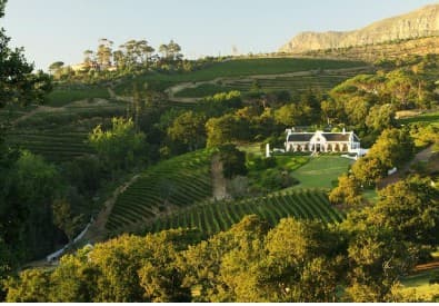 Constantia (in Cape Town) Wine Tour — photo 2