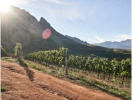 Historic Stellenbosch Wine Tour — photo 3