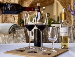 Cape Winelands Private Wine Tour — photo 4