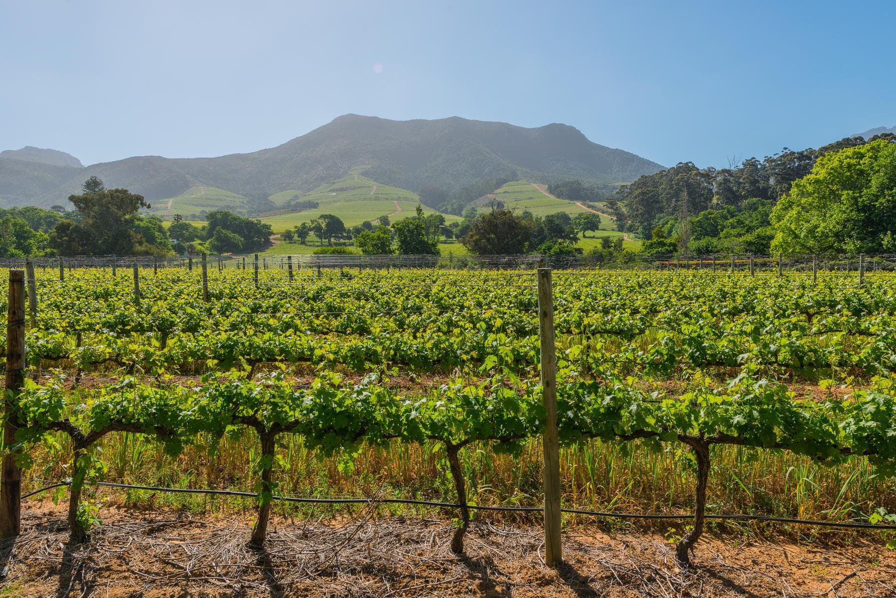 Cape Town Highlights 4 Day Tour Package — photo 4