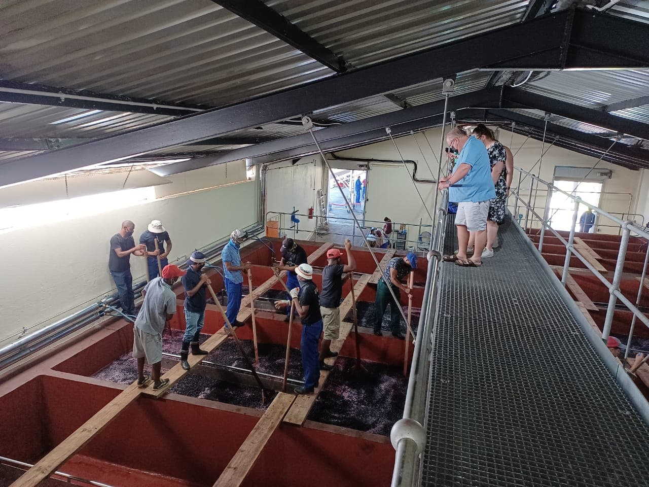 Stellenbosch Winelands Tour — photo 5