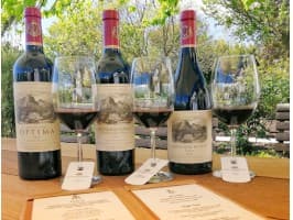 Cape Town Highlights & Hermanus 7 Day Tour Package — photo 2