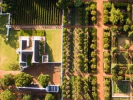 Honeymoon Private Wine Tour — photo 4
