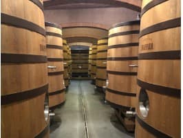 Méthode Cap Classique (MCC) Tour — photo 3