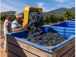Custom Wine Tour — photo 2
