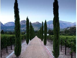 Méthode Cap Classique (MCC) Tour — photo 4