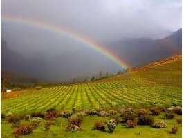 Honeymoon Private Wine Tour — photo 3