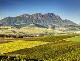 Custom Wine Tour — photo 4