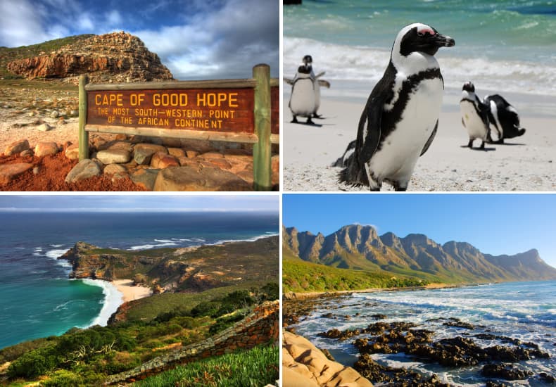 Cape Peninsula Tour (Cape Point & Penguins) — photo 1