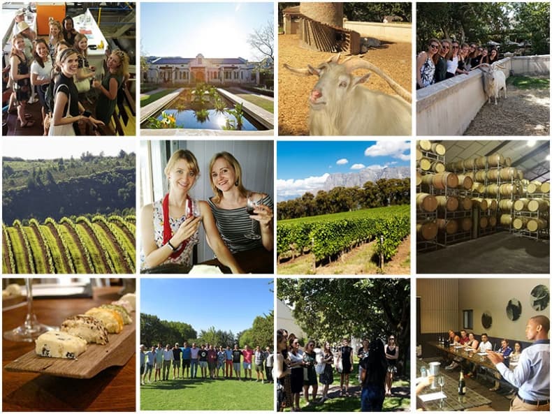 Daily Wine Tours from Cape Town