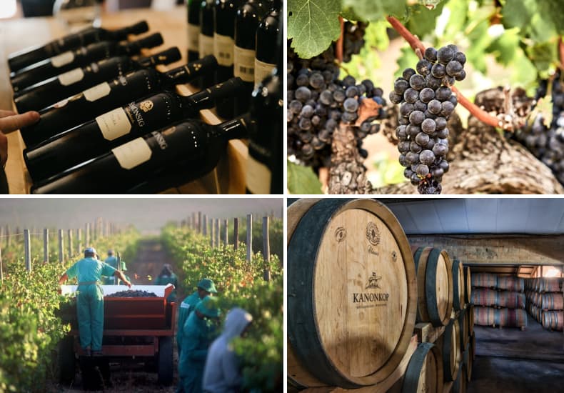 Historic Stellenbosch Wine Tour