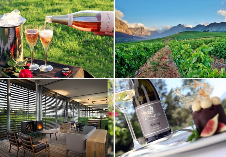 Honeymoon Private Wine Tour